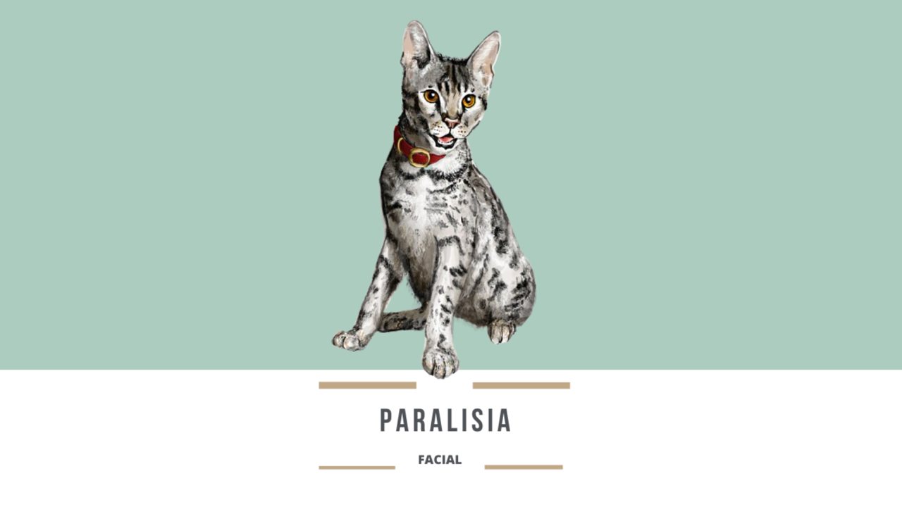 Paralisia facial: recuperando a expressão do rosto