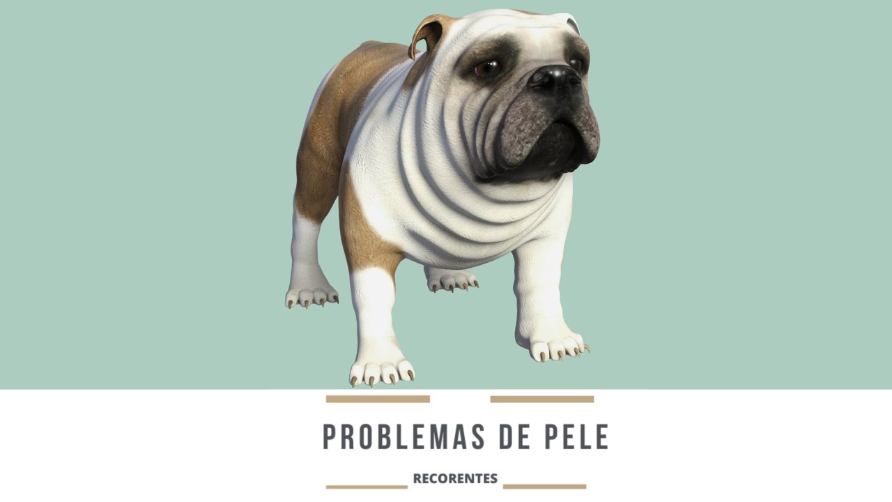 Problemas de pele recorrentes: quando a coceira não passa