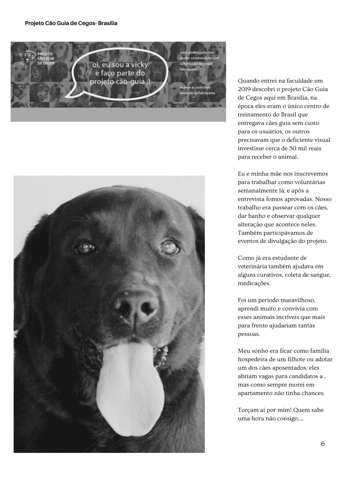 Como tudo começou — página 6