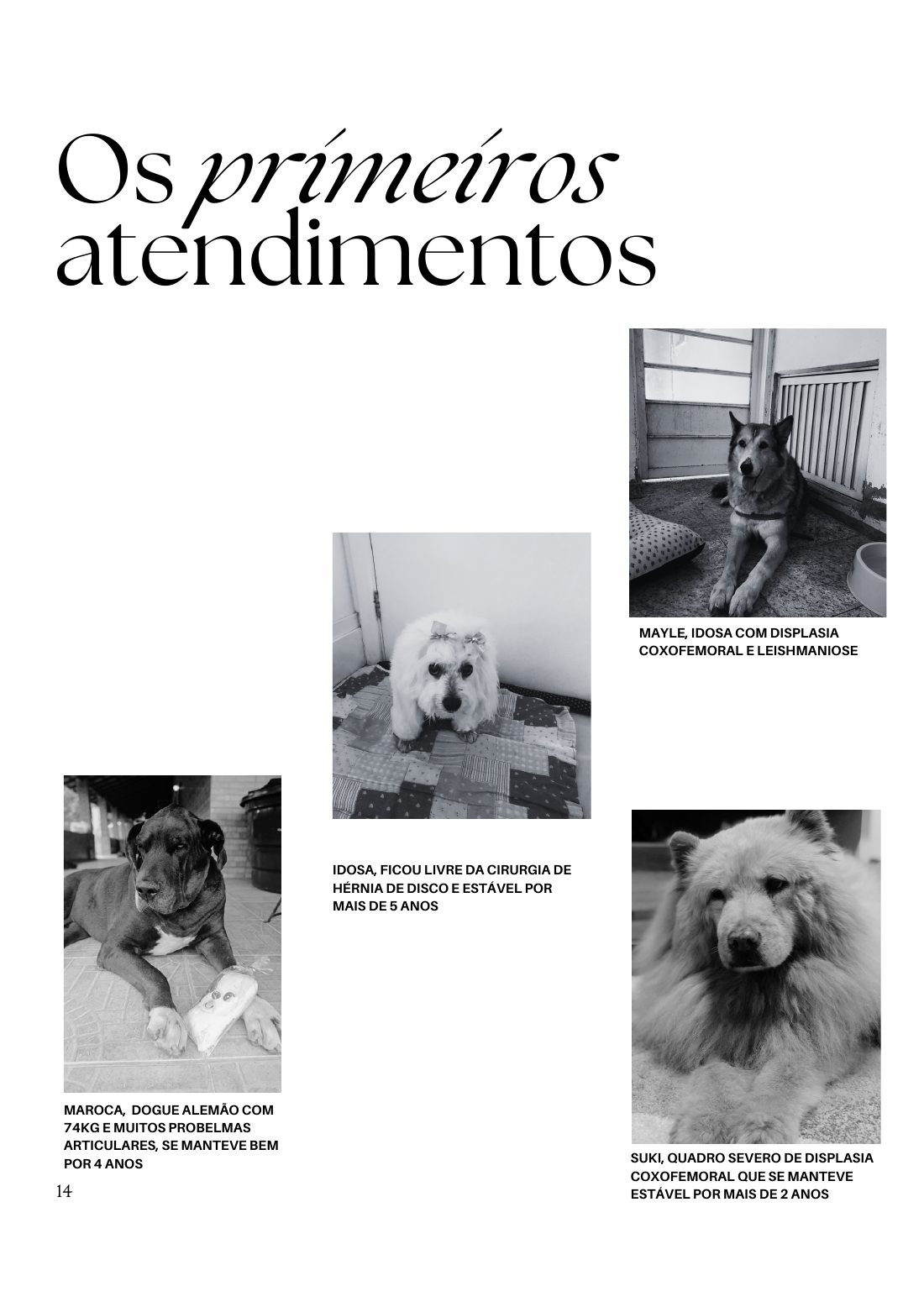 Os primeiros atendimentos — página 14