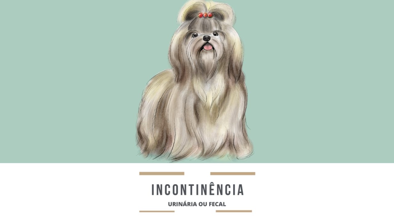 Incontinência urinária ou fecal: há caminhos para melhorar