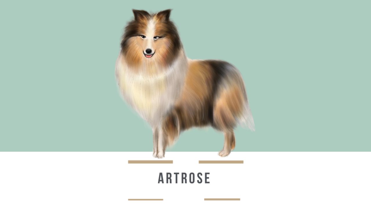 Artrose: mais conforto para as articulações dos idosos