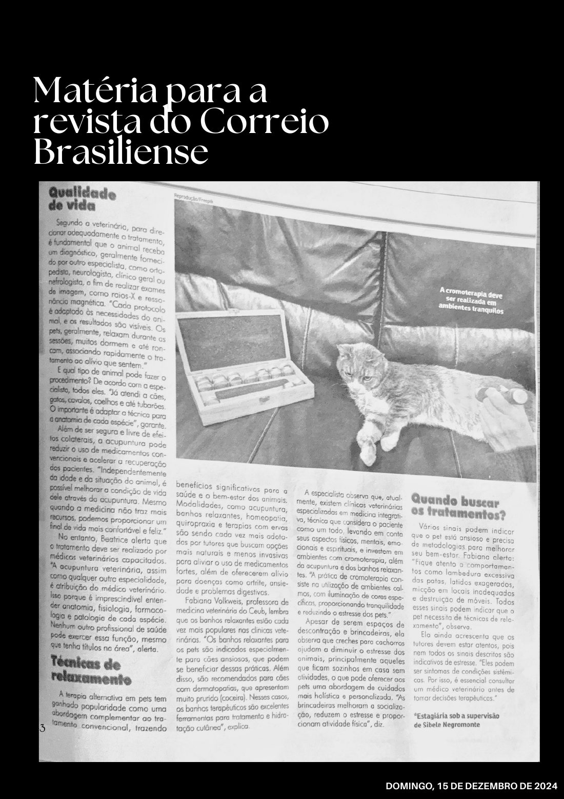 Entrevistas — página 43