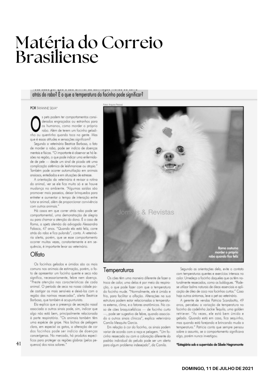 Entrevistas — página 41