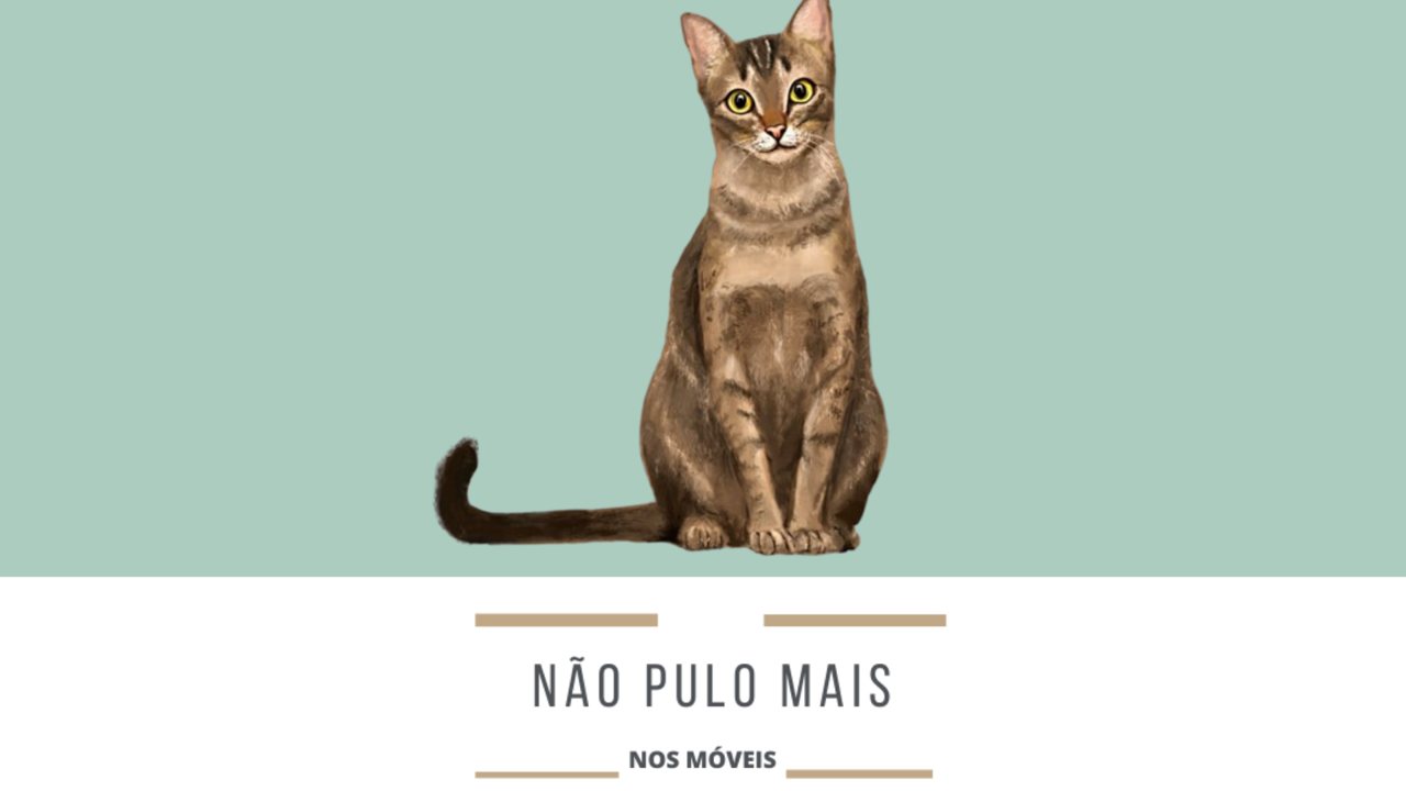 Não pulo mais nos móveis: o sinal silencioso de dor em gatos