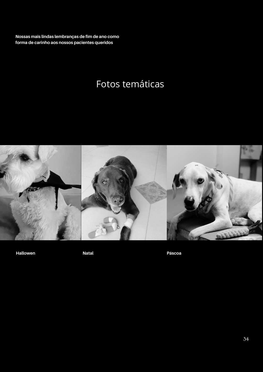 O que já criamos por aqui — página 34